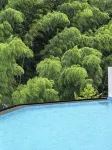 Jing County Manguyinlu Cultural and Artistic Vacation Homestay (China Xuanzhi Cultural Park) - Pools