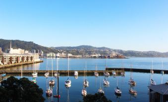a harbor filled with numerous sailboats docked at a pier , surrounded by mountains in the background at Copthorne Hotel Wellington, Oriental Bay