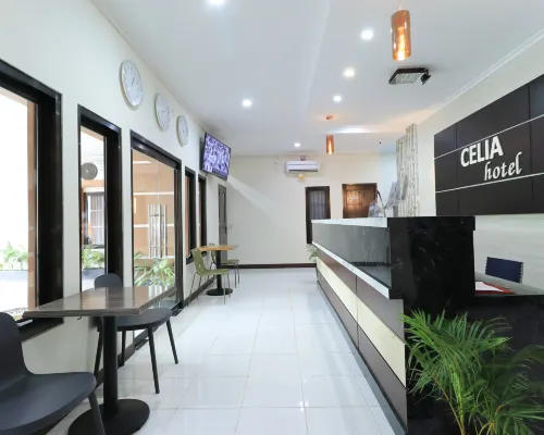 Hotel Celia الأماكن العامة Photos
