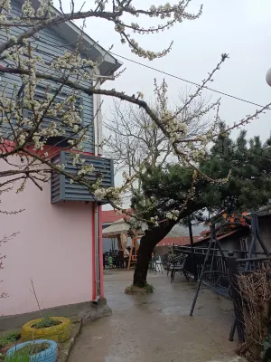 Yinju Guesthouse Hotels near Lushan Donglin Canyon