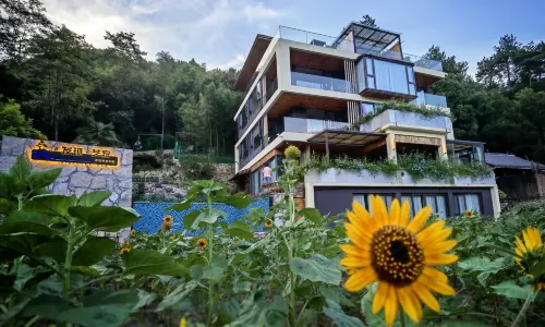 Home stay for artists
