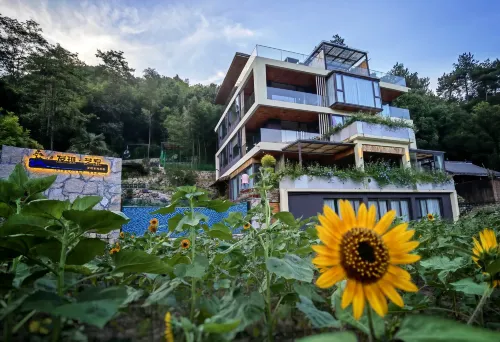 Home stay for artists - Pools
