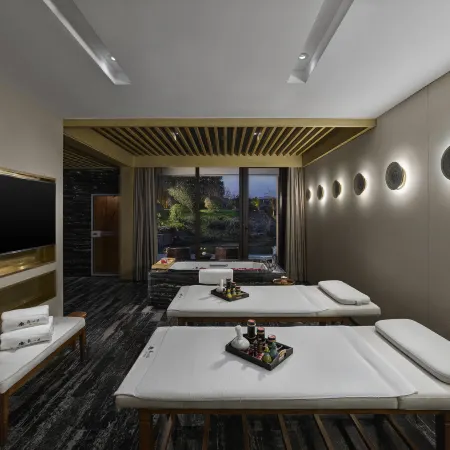 HENTIQUE ZEN VILLA
