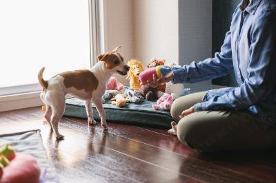 その他 ホテルジャパネスク福岡の写真