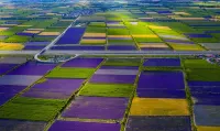 Huocheng Moshanghua Homestay - Airport Shuttle