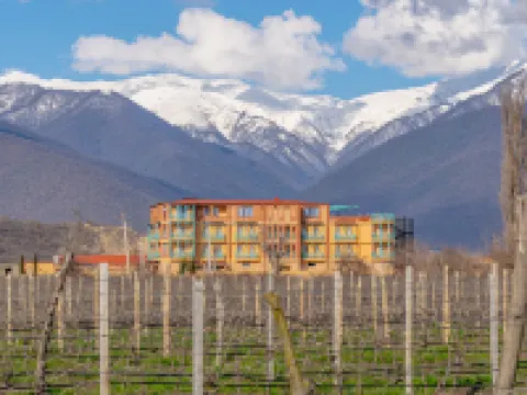 Burki Castle & Cellar Hotels in Kvareli