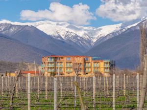 Burki Castle & Cellar