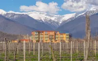 Burki Castle & Cellar Hotels in Almati