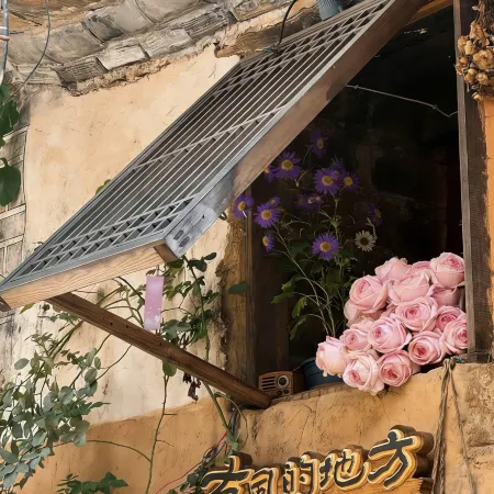 Succulent house (Dali ancient city)