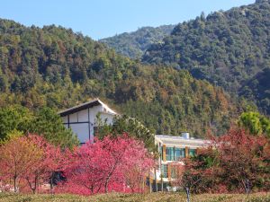 新豐森淶大豐茶園民宿