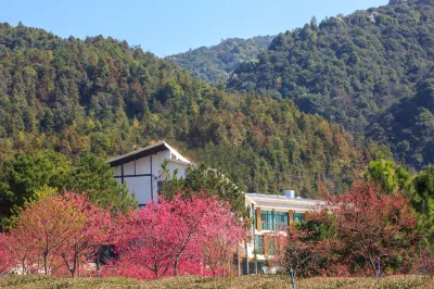 Xinfeng Senlai Dafeng Tea Manor