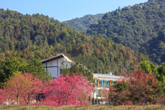 新豐森淶大豐茶園民宿