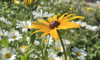 Nalatichunweige Hotel