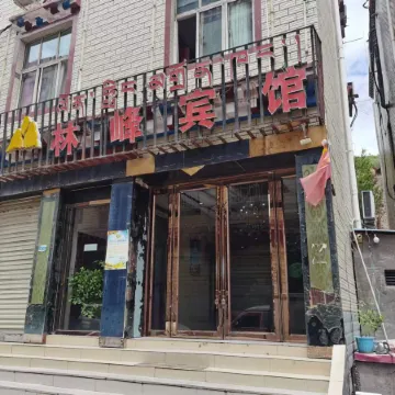 Dingqing Linfeng Hotel