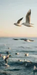 Utopian Seaside Homestay (Gold Coast)