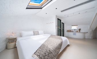 D re a mC o lle c to r