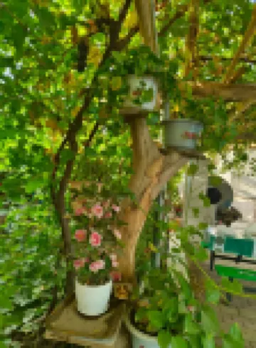 Fengxing Homestay (Putao Valley Scenic Area)