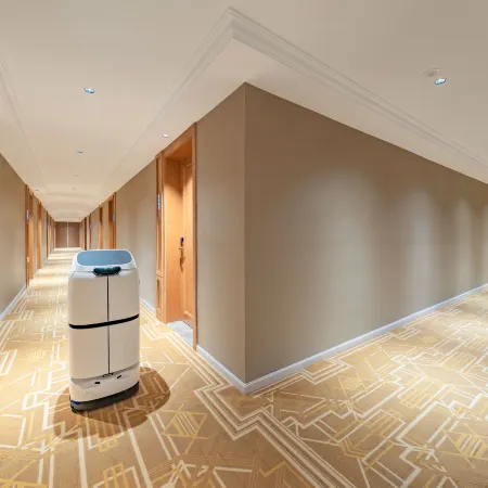 Vienna Hotel (Pengshan Qinglong Town)