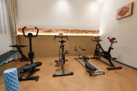 Jiuhuashan Ruyuan Homestay (Grand Aspiration Cultural Park Branch) - Gym