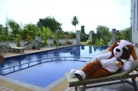 Swiss-Belhotel Pangkalpinang - Pools