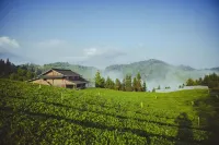Longxingchong TeaTel Hostel Các khách sạn ở Lê Bình