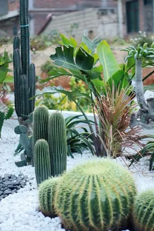 Huangjia Xiaozhu Homestay, Weizhou Island Отели рядом с достопримечательностью «Thean Hou Ancestral Temple (Mazu Birthplace)»