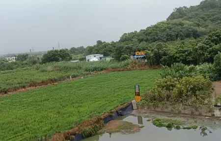 Raoping Huanxi Boutique Meisu