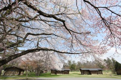 ホテル周辺 軽井沢プリンスホテル ウエストの写真