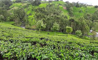 Ranges View Lodge Staycation