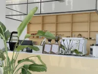 Letter from early summer