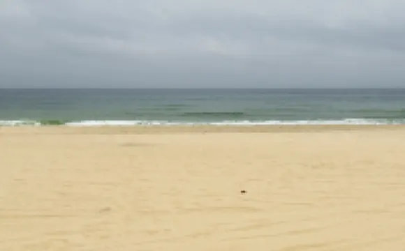 海陵島鯨魚スマートホテル