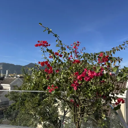 Kunming Dianchi Niao House Homestay