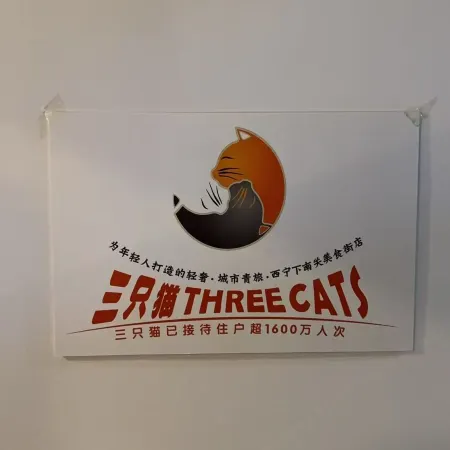 Three Cats Hostel (Xining Lower Nanguan Street)