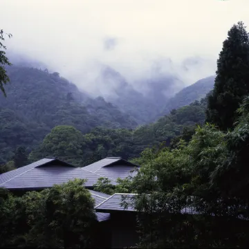Oku Yugawara Tsubaki