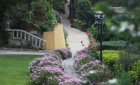 Alpine Lodge and Cafe - Housity