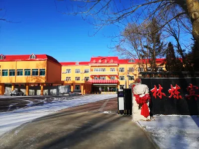 Daqing Linlian Hotel Hotels in Datong District