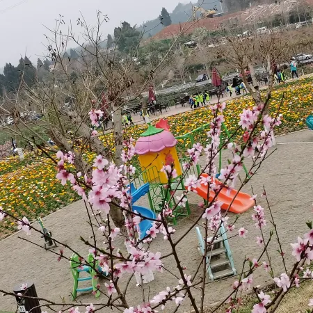 Lvyuan Shangpin Eco-friendly Homestay