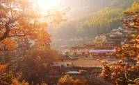 Songyang Yunxi Tianyu Boutique Homestay (Hengkeng Village )