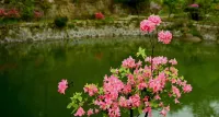 Wolong Mountain Villa 허우산 풍경관 주변 호텔