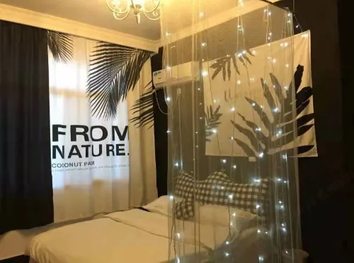 Theme Inn