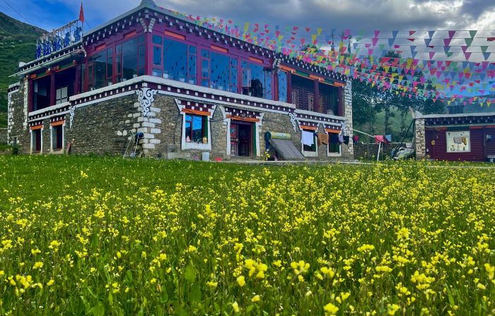 Daoyu Samarin Homestay (Moshi Park)