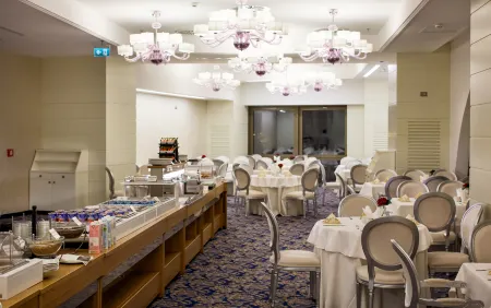 Hotel International Iasi Отели рядом с достопримечательностью «Botanic Garden»