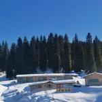 Quiet Inn Joan Kushtai Hotels near Qiongkushitai Purple Flower Slope