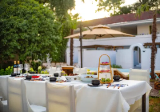 Leisurely Dwelling: Hidden Realm of Trees