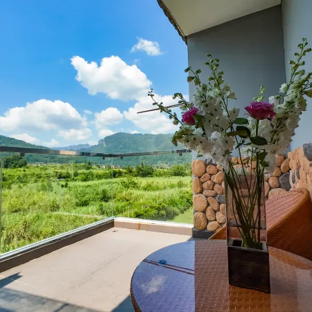 Yuxi Homestay