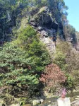 Mengzhiling Homestay