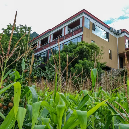 Jiaju secret realm  starry sky homestay