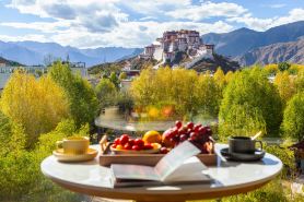 泊舍觀景富氧飯店（布達拉宮大昭寺店）