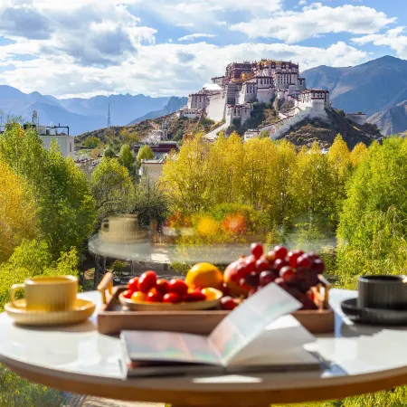 Poshe Guanjing Oxygen-enriched Hotel (Potala Palace Jokhang Temple)