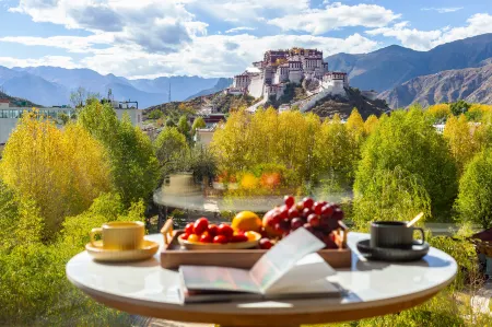 Poshe Guanjing Oxygen-enriched Hotel (Potala Palace Jokhang Temple) Отели в г. Лхаса